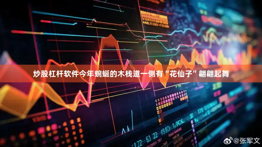 炒股杠杆软件今年蜿蜒的木栈道一侧有“花仙子”翩翩起舞