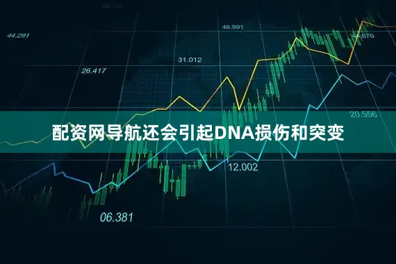 配资网导航还会引起DNA损伤和突变